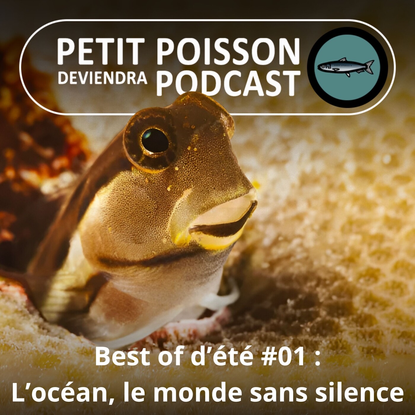Petit Poisson deviendra Podcast