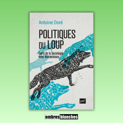 Antoine Doré → Politiques du loup. Faire de la sociologie avec des animaux cover