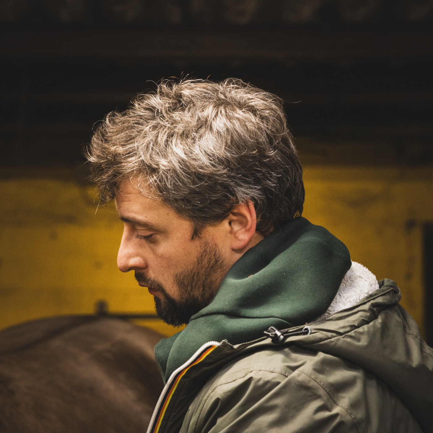 🎙️ Romain constant - Acupuncture équine : soigner, prévenir et optimiser la performance du cheval episode artwork