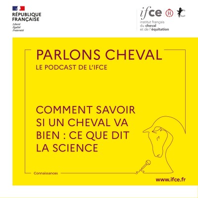 Ép. 91 | Comment savoir si un cheval va bien : ce que dit la science - Léa Lansade cover