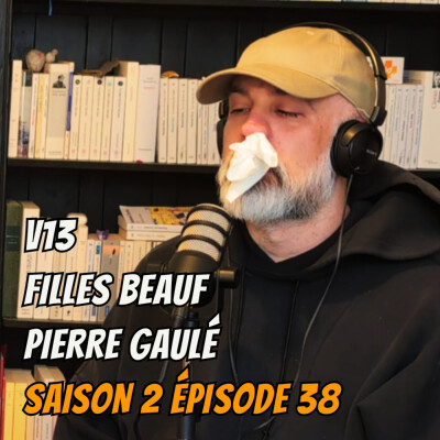S02E38 - Filles beauf, Pierre gaulé, V13 cover