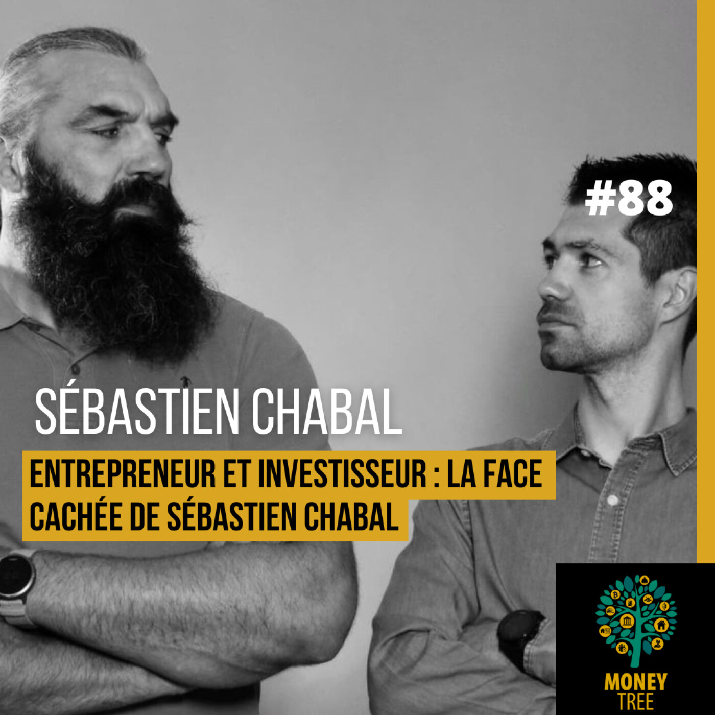 Money Tree, le podcast Immobilier & Investissement d\'Artae