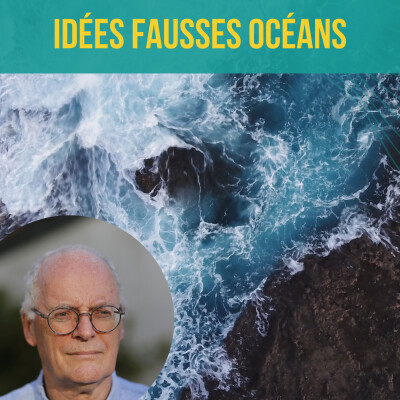 INTERVIEW - 50 idées fausses sur les océans | Philippe Goulletquer cover