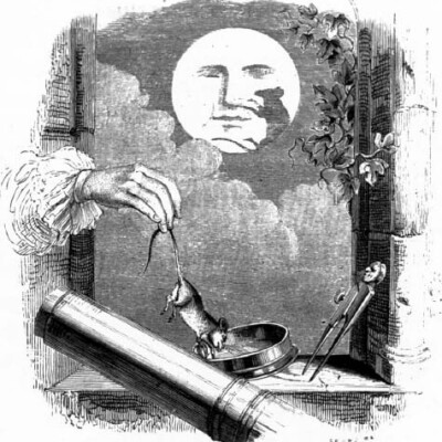 La Fontaine / Classiques au détail cover