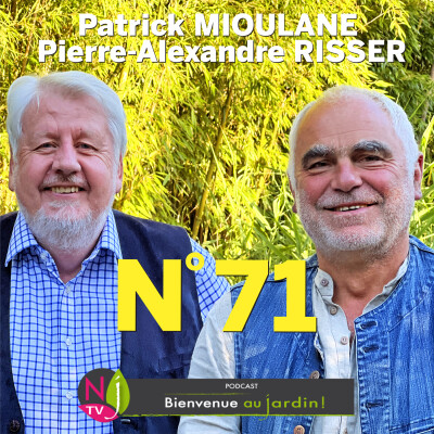 EMISSION #71 du 08 Octobre 2022 - L'INTEGRALE cover