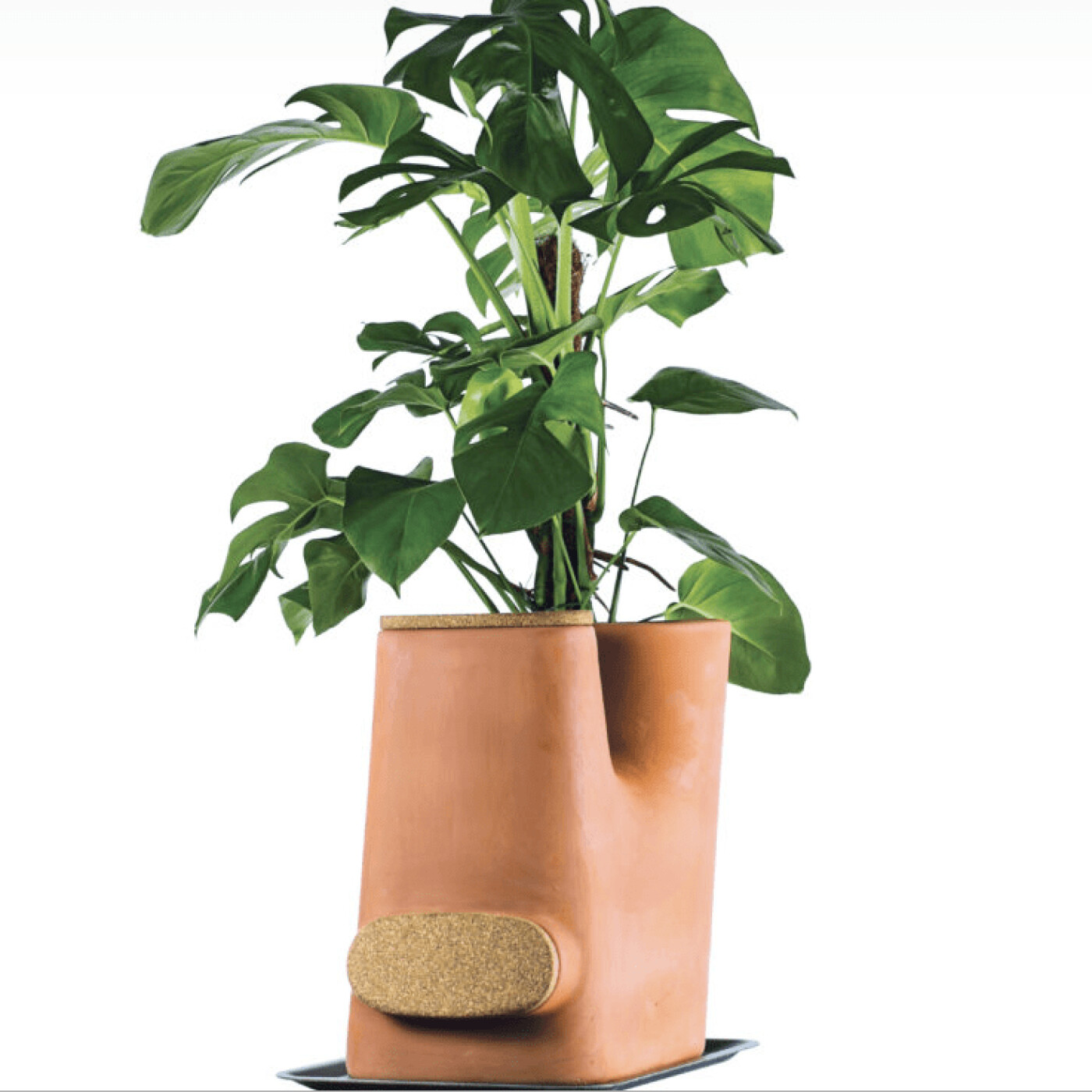 Henri Thomas - TRANSFARMERS Pot de fleurs composteur - Business Club S2021 E66