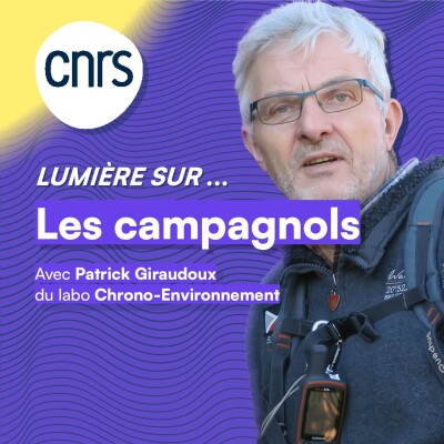 Lumière sur... Les campagnols cover