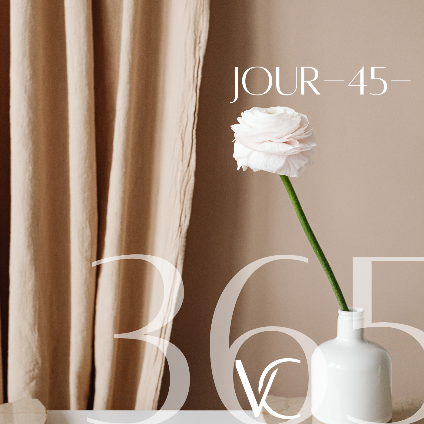 LIVE 365 by Valérie Carchi