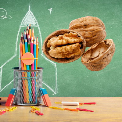 La Chasse aux Trésors de la Forêt | Histoire sur la Prudence et la Nature cover