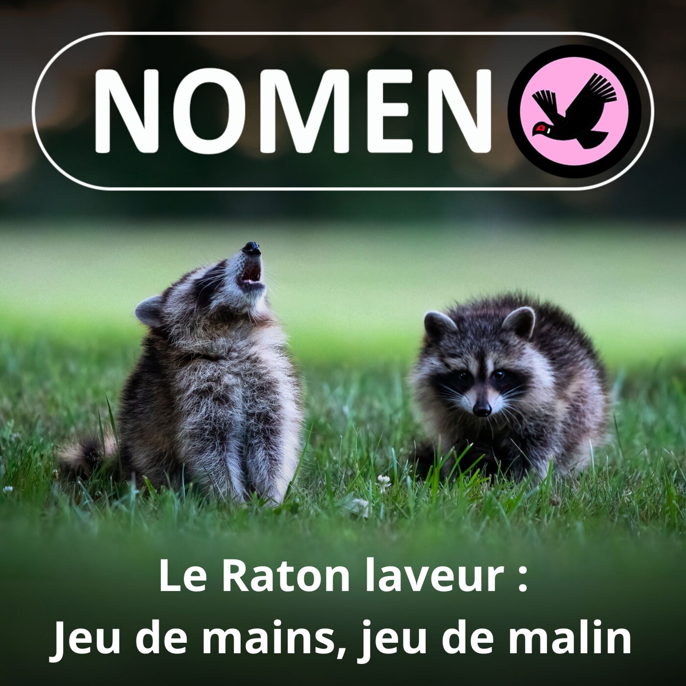 Nomen