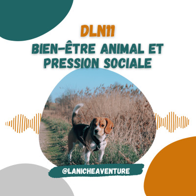 REPLAY - Bien-être animal et pression sociale cover