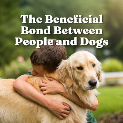 The Beneficial Bond Between People and Dogs cover