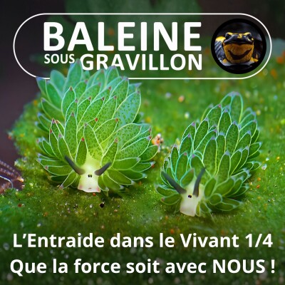 S04E68 L'Entraide dans le Vivant 1/4 : Que la Force soit avec NOUS ! (Julien Perrot, Revue Salamandre) cover