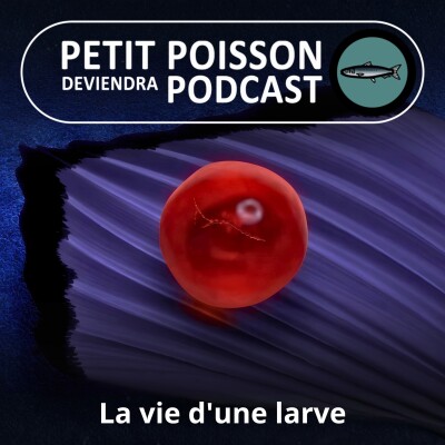 BEST OF D'ÉTÉ #11 : À quoi ressemble la vie d'une larve de poisson ? (Bill François) cover