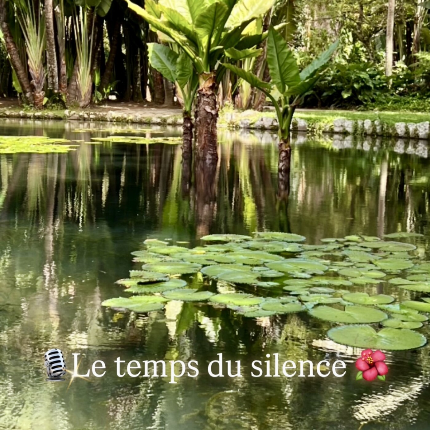 Be Happy - Bien-être & Positivité ☀️