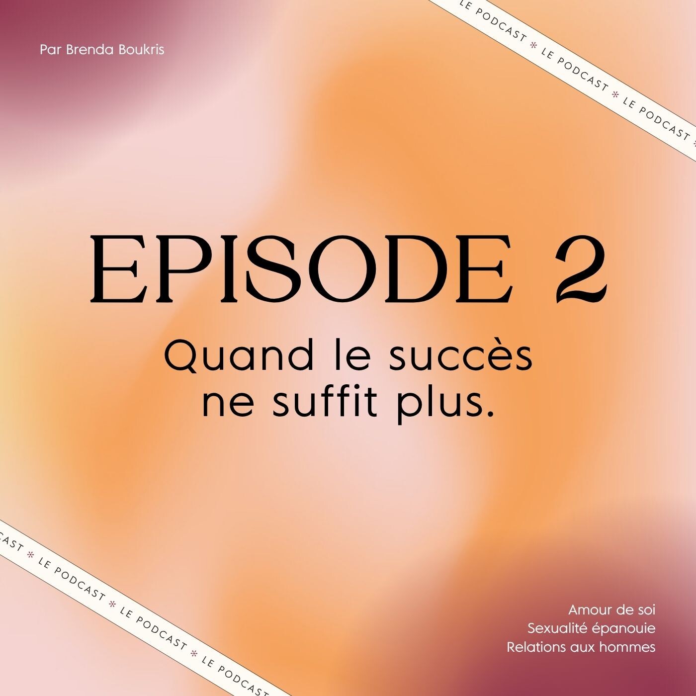 Quand le succès ne suffit plus (Confessions d'une Ex Love Coach)