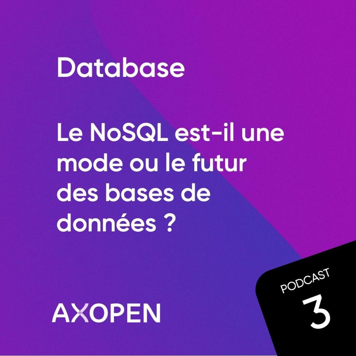 Database : le noSql est-il une mode ou le futur des bases de données ?