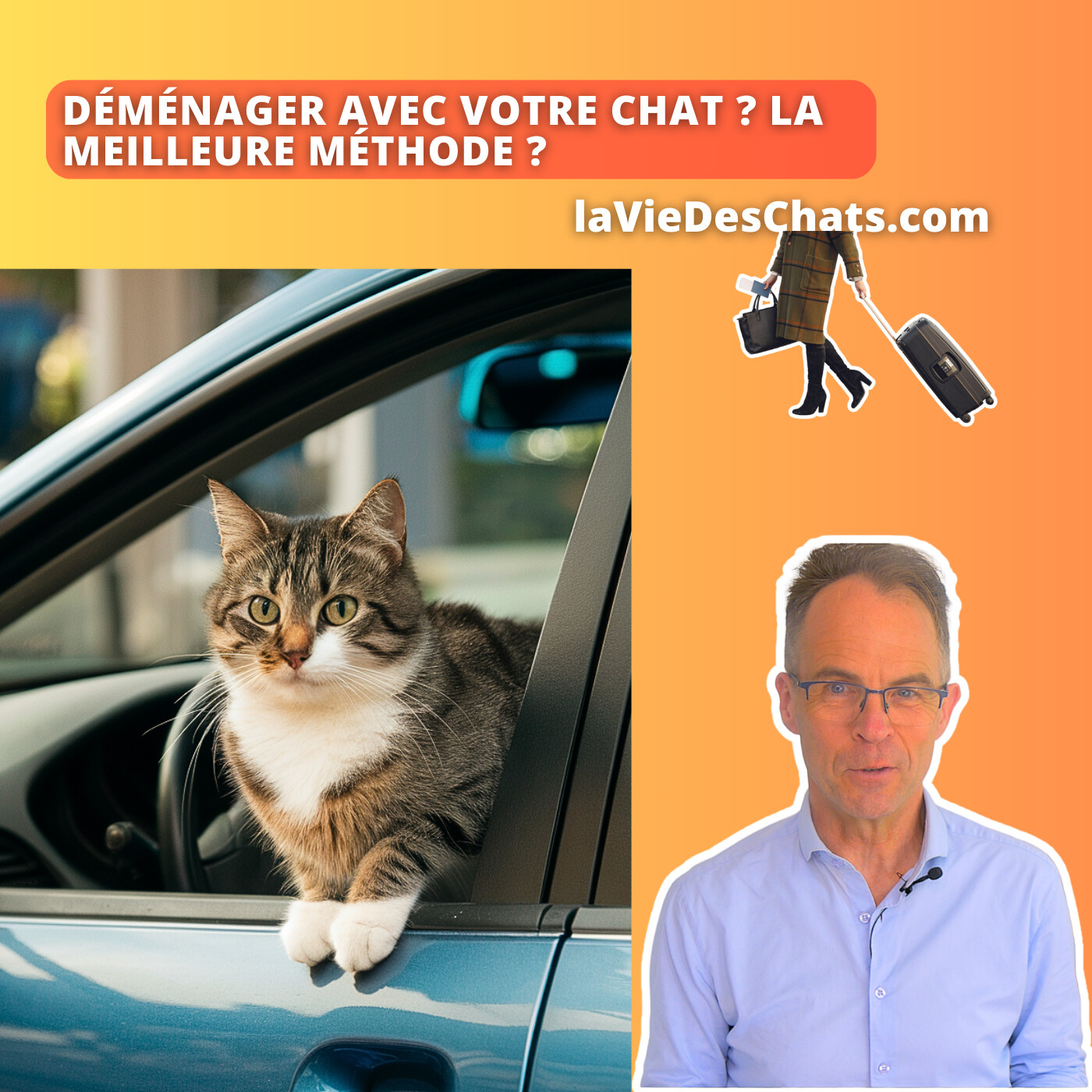 laVieDesChats