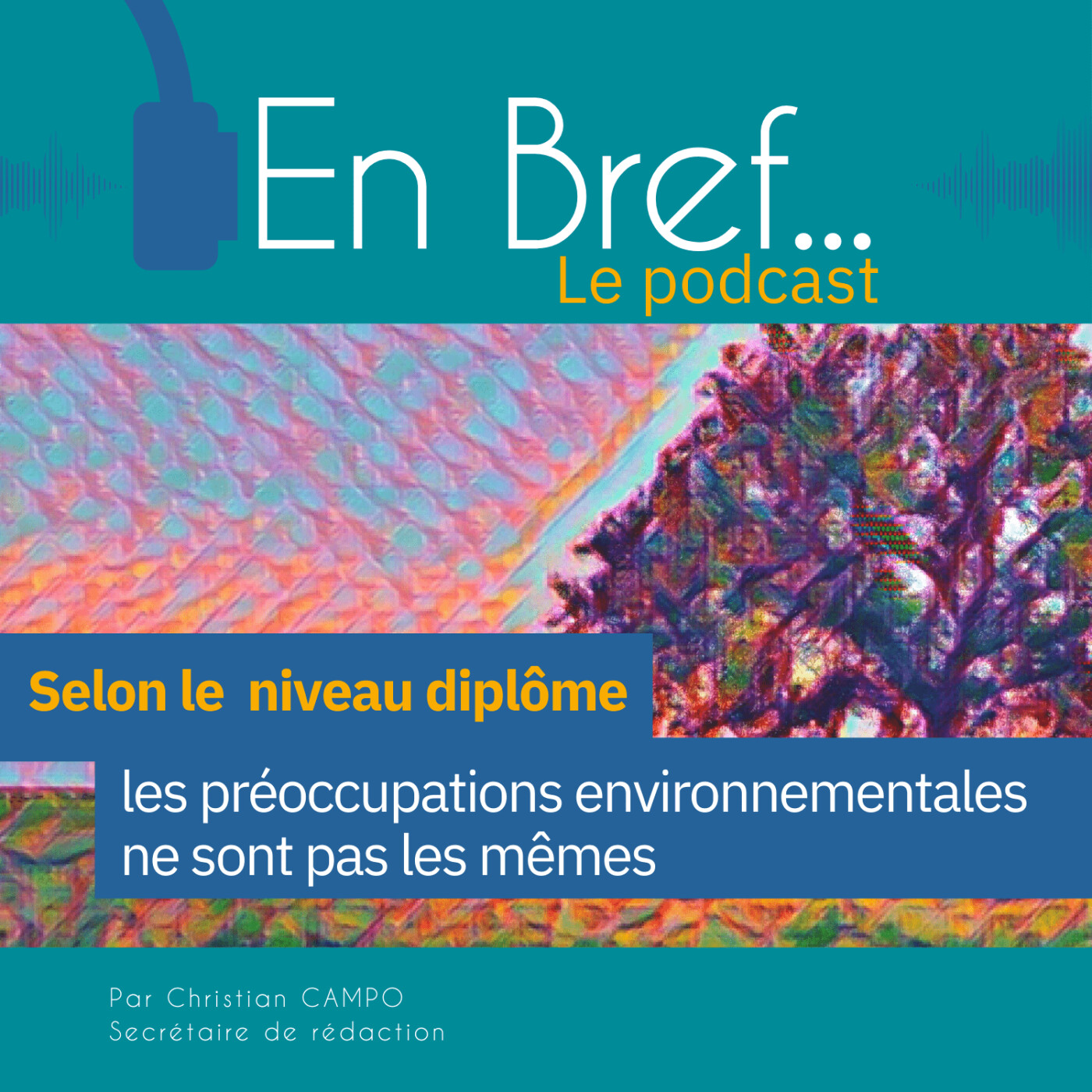 En Bref.... Le podcast du Céreq (Centre d\'études et de recherches sur les qualifications)