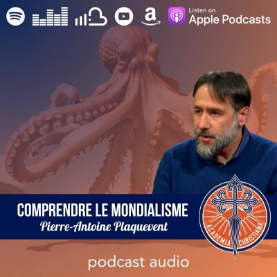 Pierre-Antoine Plaquevent - Comprendre le mondialisme cover