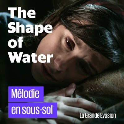 The Shape of Water cover