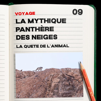 #9. La mythique Panthère des neiges.1 (Ladakh) cover