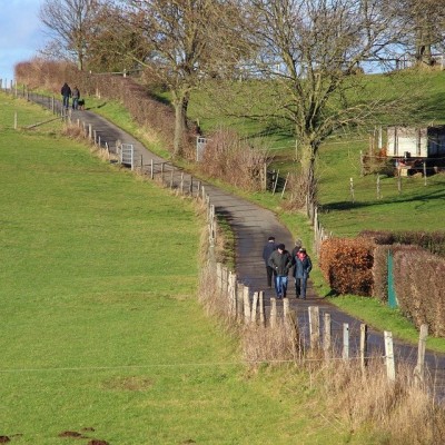 Idées-sorties : week-end du 23 novembre 2019 cover