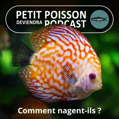 S03E33 Au fait, comment les poissons nagent-ils ? (Bill François) cover