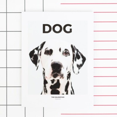 Episode 50: Julian Victoria and Emily Rogers, Dog magazine cover