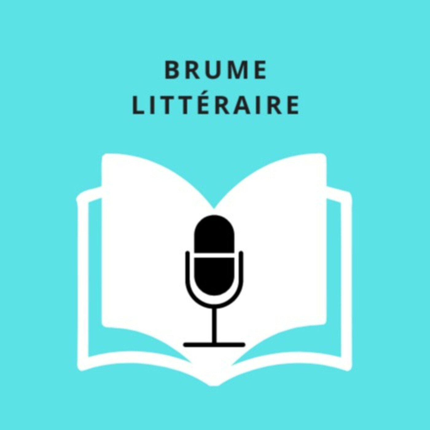 Brume Littéraire - La littérature en clair
