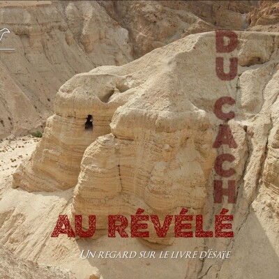 11 - La révélation du lieu saint cover