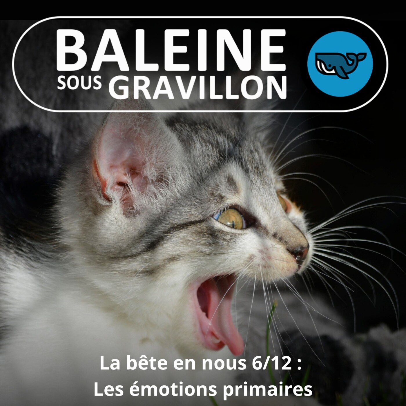 S03E73 La bête en nous 6/12 : Joie, tristesse, dégoût, peur, colère et surprise (émotions primaires), Jessica Serra (éthologue)