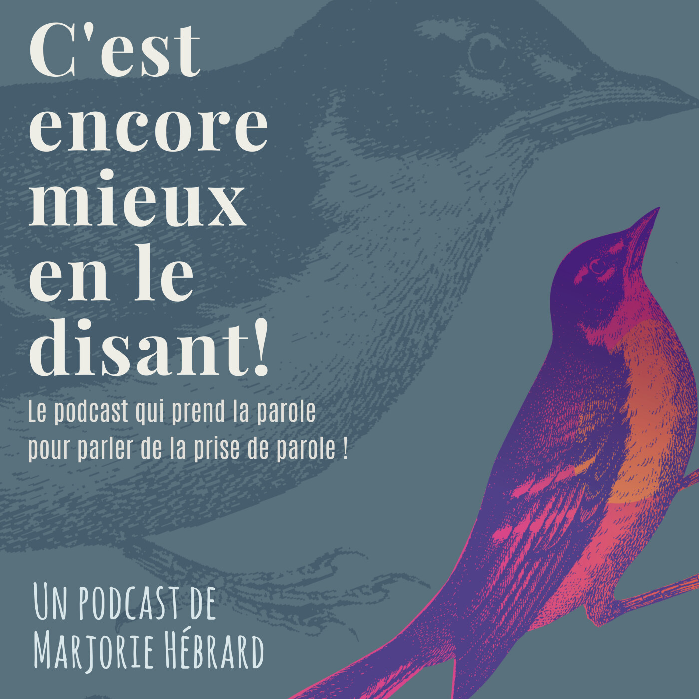 Bande annonce - C'est encore mieux en le disant ! episode artwork