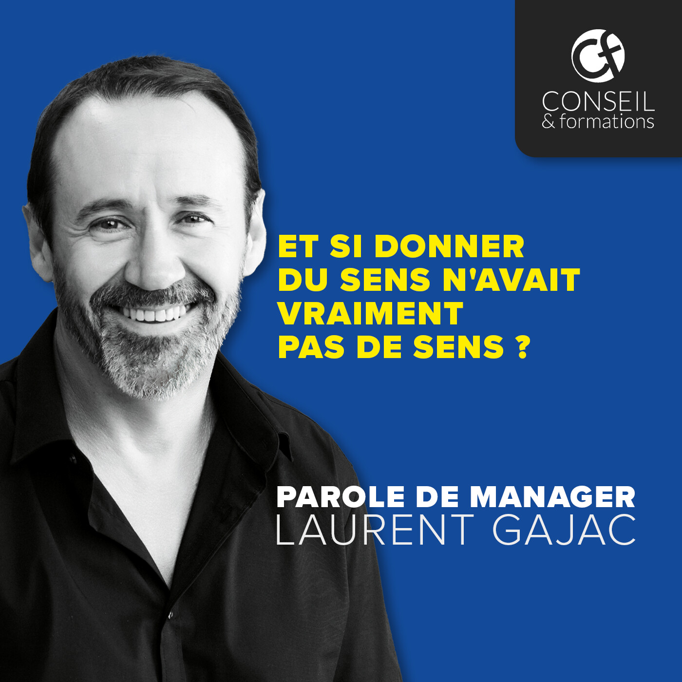 Et si donner du sens n'avait vraiment pas de sens ? episode artwork