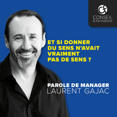 Et si donner du sens n'avait vraiment pas de sens ? cover