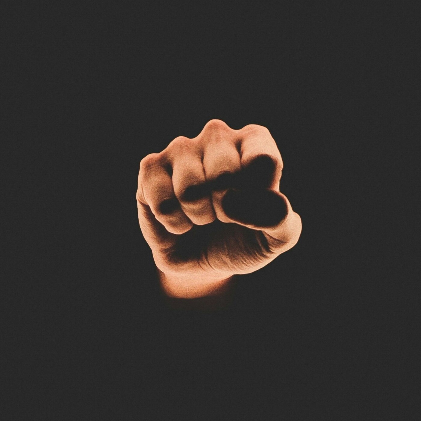 "ça arrive près de chez vous" avec l'association l'Arche | #LEGISLATIVES2024