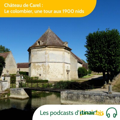 Château de Carel (14) : Le colombier, une tour aux 1900 nids cover