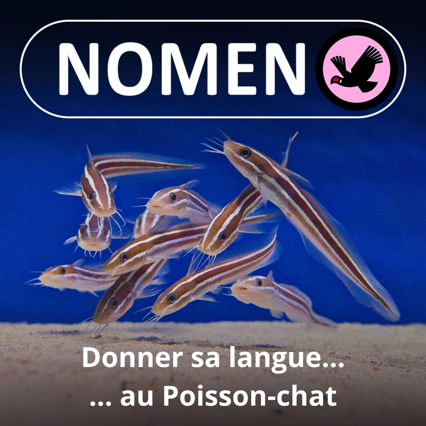 Nomen