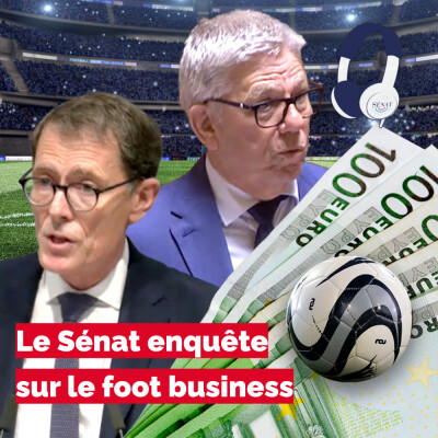 Le Sénat enquête sur le foot business cover