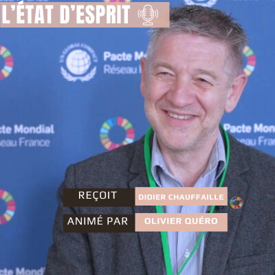 Didier Chauffaille Chef d'entreprise et fondateur de Benvivo réconcilier entreprise, territoire et bienveillance cover