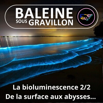 S07E142 Briller en société : Des plages aux abysses (Bioluminescence 2/2) cover