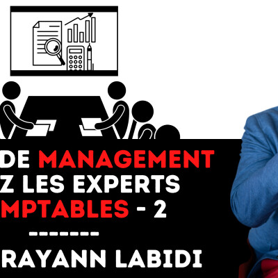 335 - Crise du management chez les experts comptable - Rayann Labidi (épisode 2) cover