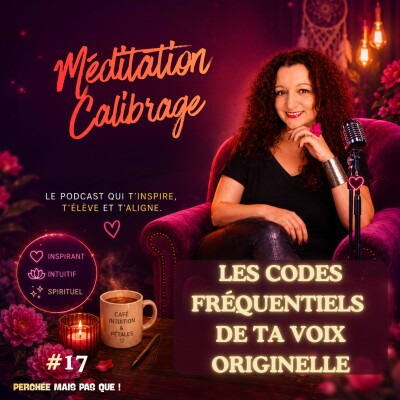17 - Calibrage Méditation - Les codes fréquentiels de ta voix originelle ! cover