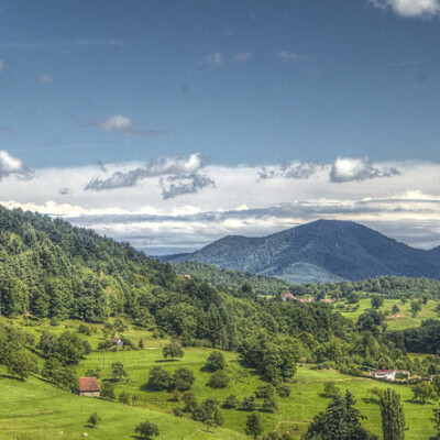 L'attaque des cybermonstres ukrainiens • revue de presse octobre 2022 cover