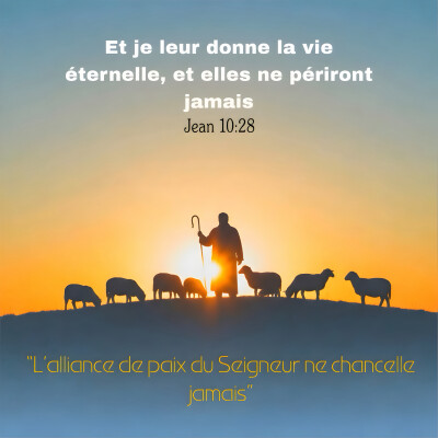 …Et je leur donnerai la vie éternelle et elles ne périront jamais… cover