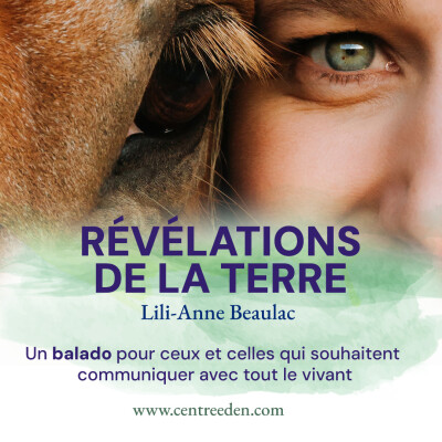 La communication animale vue par les yeux d'une femme innue, avec Sofie Morin-Robertson cover