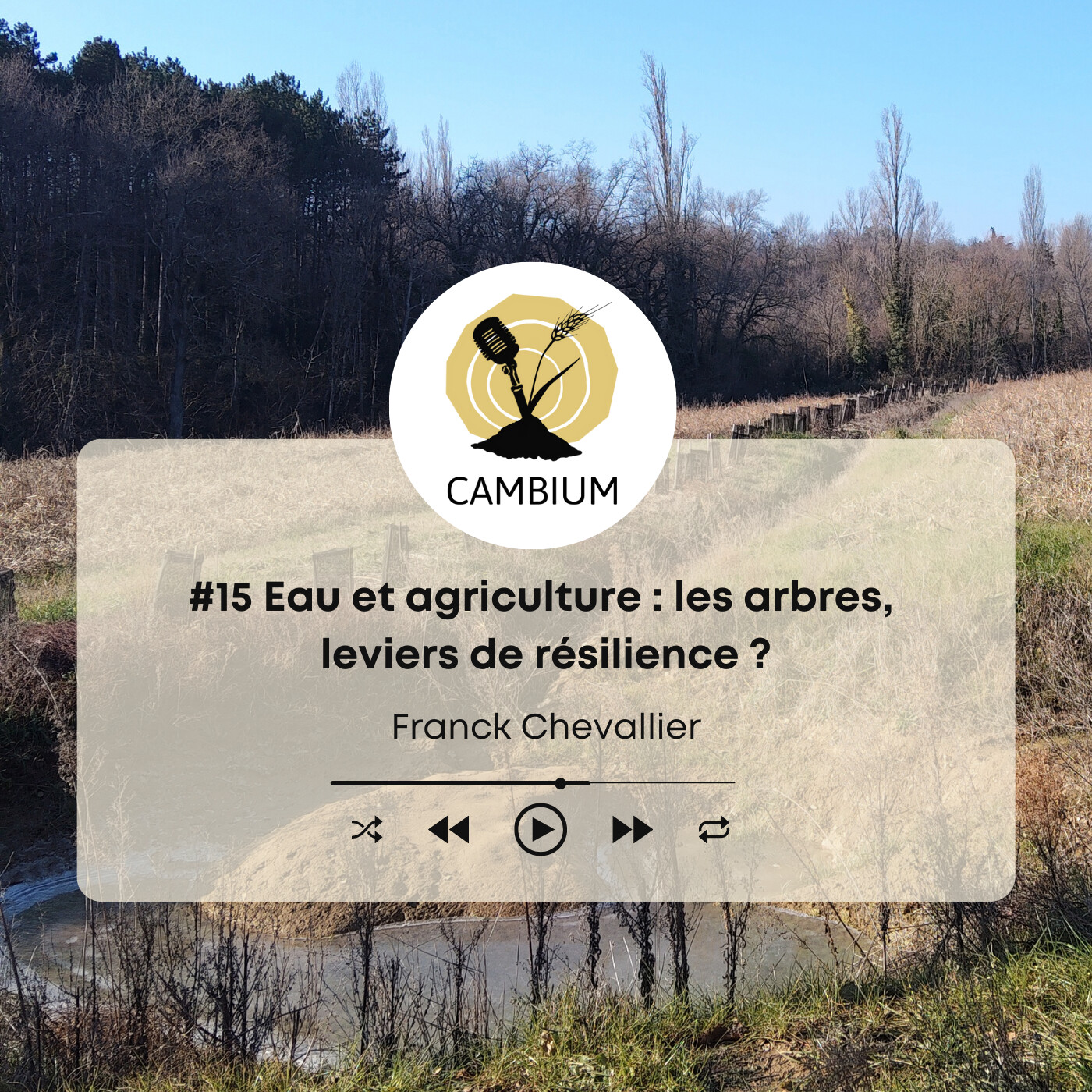 CAMBIUM, le podcast de l\'agroforesterie