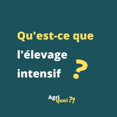 Qu'est-ce que l'élevage intensif ? cover