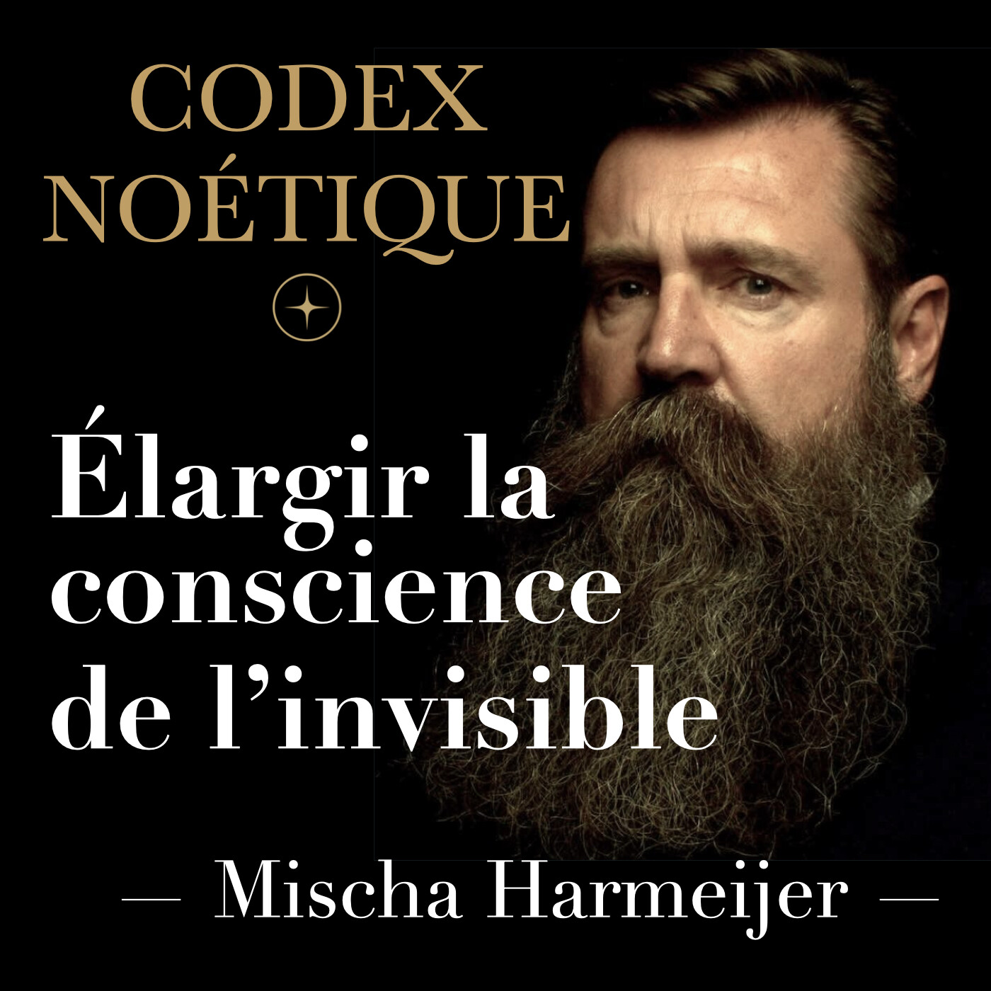 Codex Noétique – Mischa Harmeijer