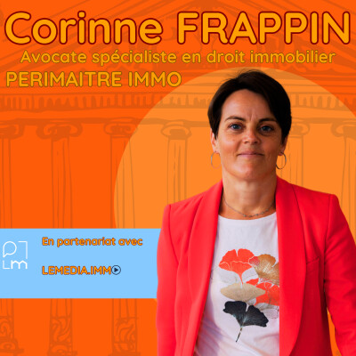 Perimaitre : Bricolage et vices cachés cover